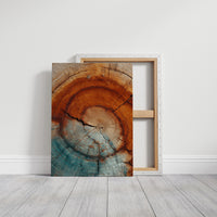 Rings of Time in Ember and Teal