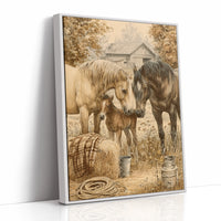A Foal's First Introductions