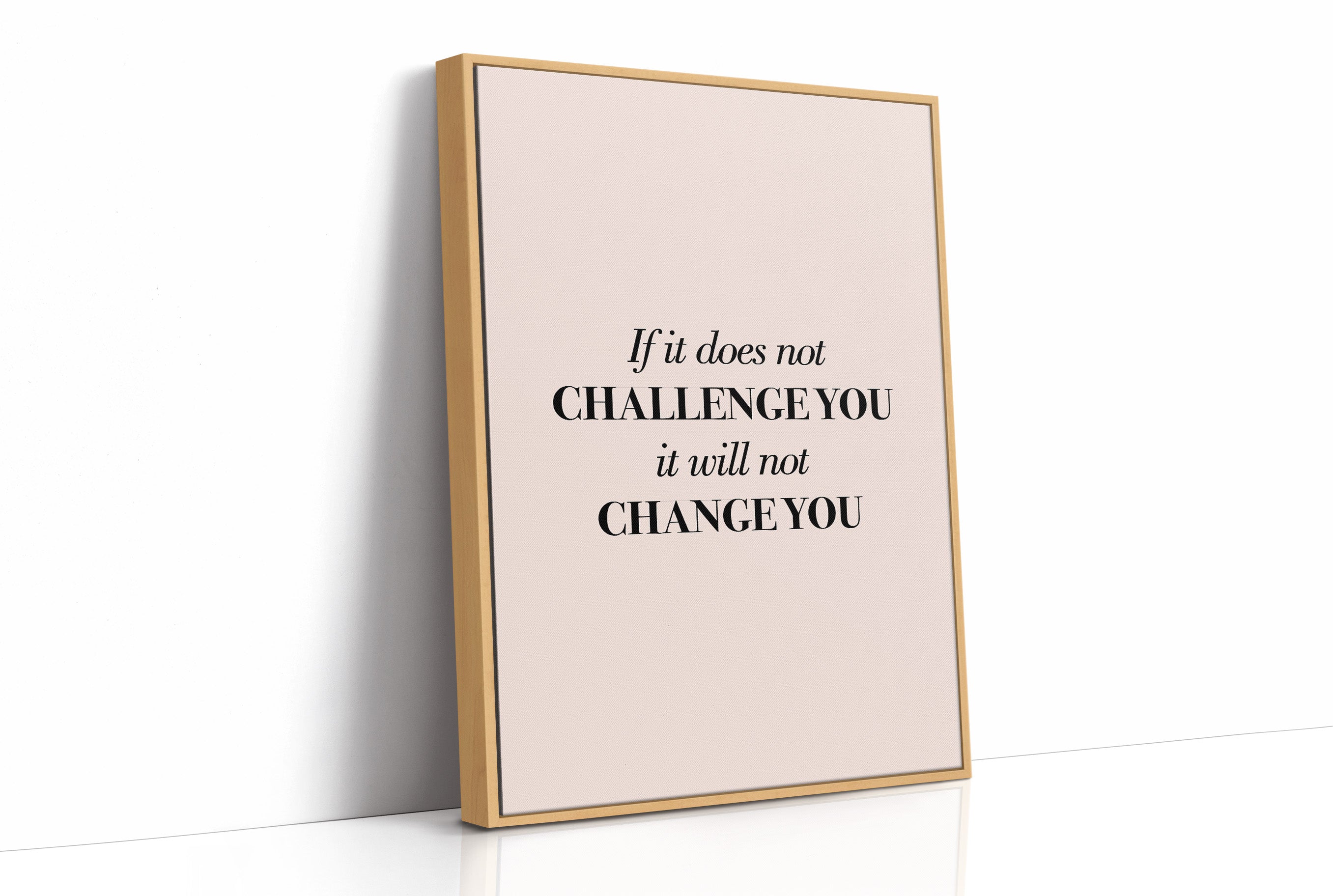 If It Does Not Challenge You It Will Not Change You