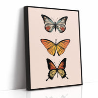Three Wings Tell Summer Stories