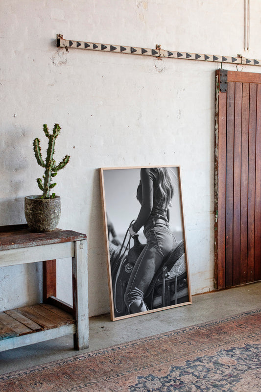 Saddle Stories