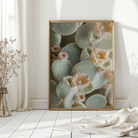 Soft Bloom on Fuzzy Desert Cactus