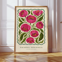 Peony Study No. 5 – Soft Power in Bloom