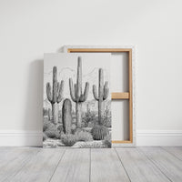 Saguaro Sketch Standoff