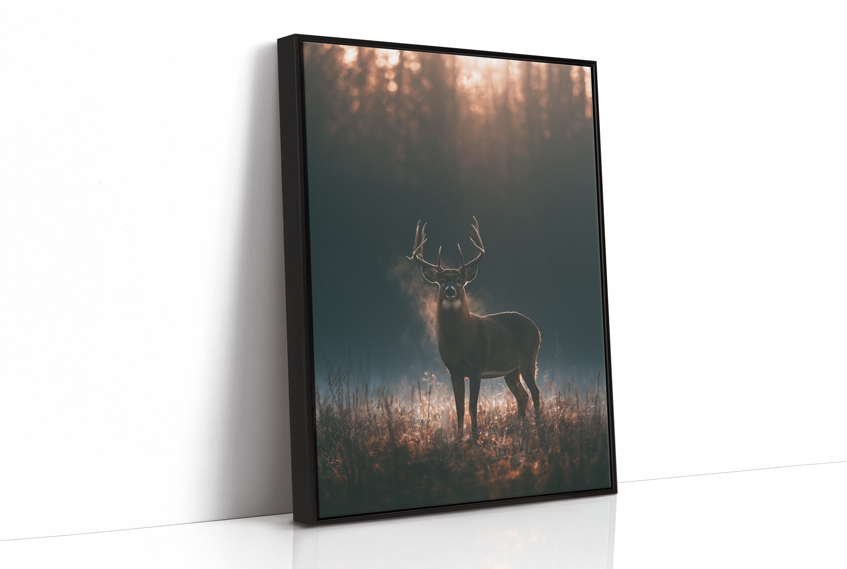 Buck at First Light