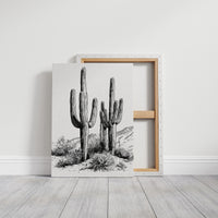Twin Saguaro Sentinels