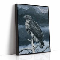 Hawk Weathering the Storm