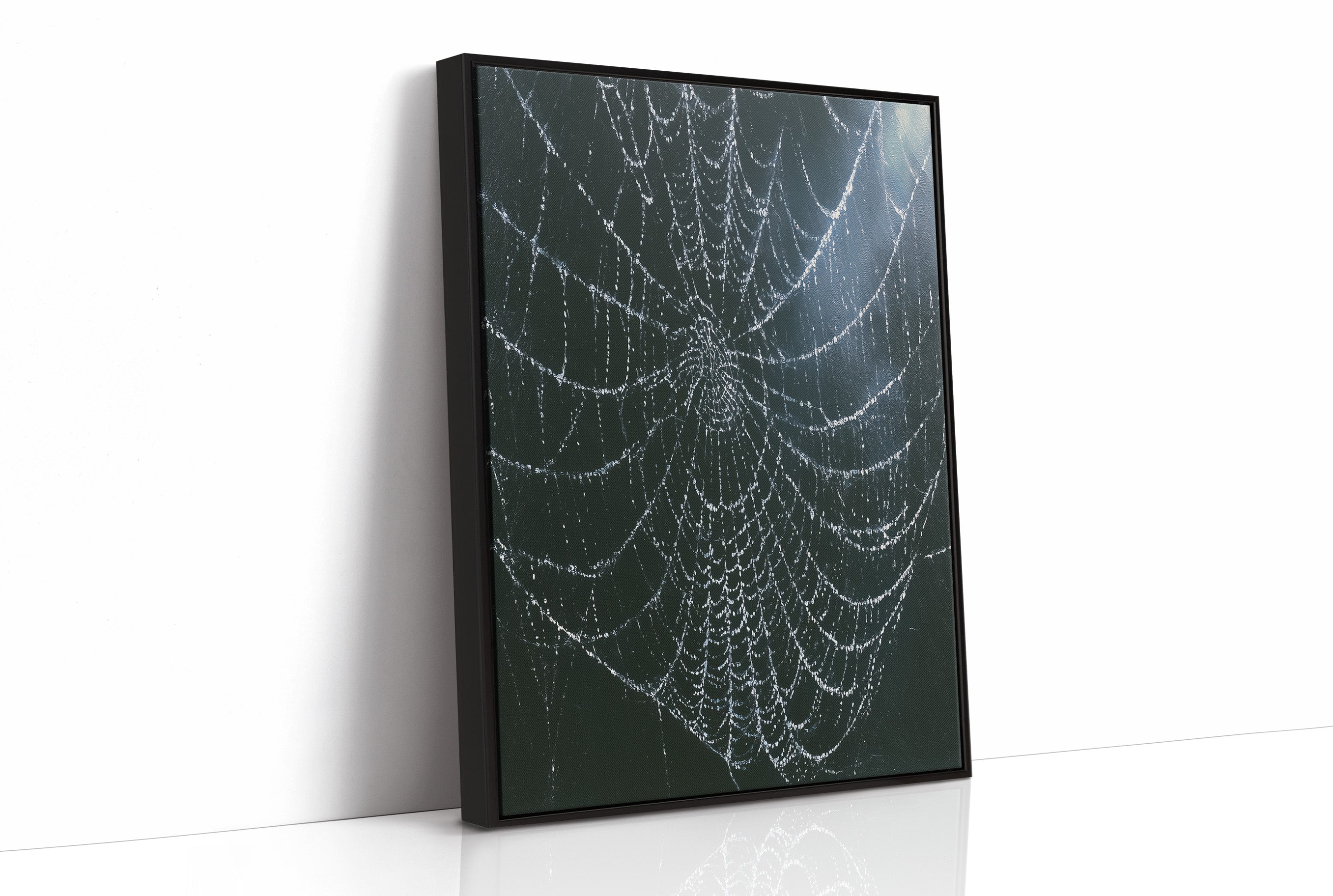 Dew-Kissed Web at Dusk