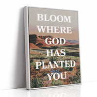 Where The Desert Learns Your Name