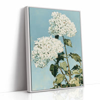White Hydrangea Sky Bloom