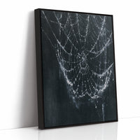 Web in the Dark