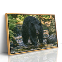 Black Bear at the Water's Edge