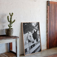 Pasture Gate Conversations