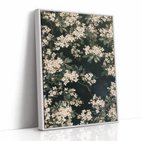 Blossoms in the Dark