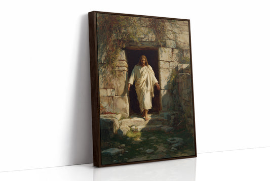 Ancient Threshold Beckons With Light