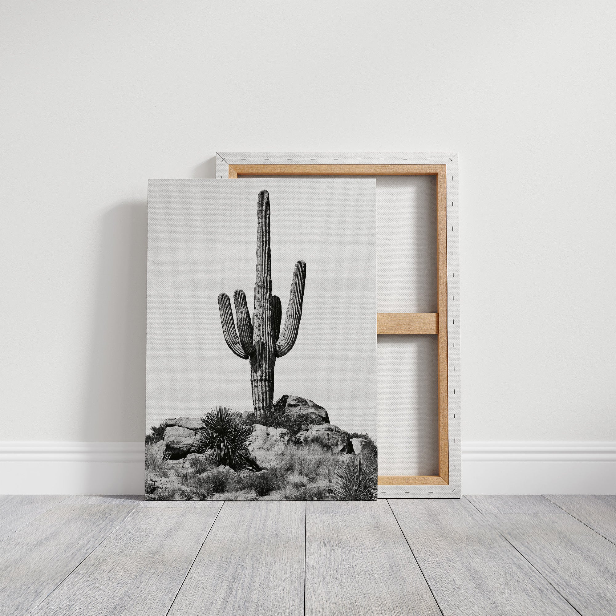 Lone Saguaro Standing Tall