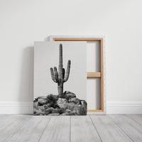 Saguaro Standing Sentinel