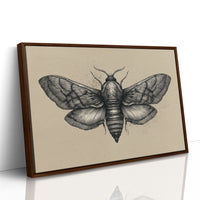 Vintage Moth Among Literary Spines