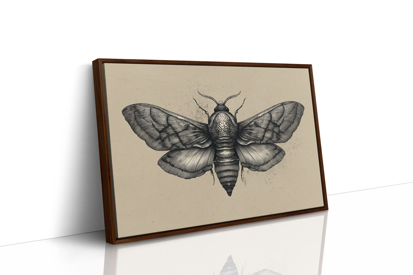 Vintage Moth Among Literary Spines