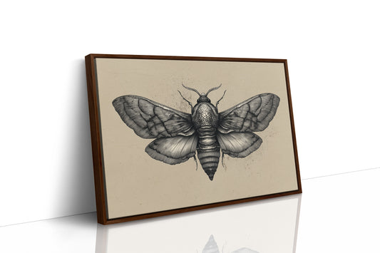 Vintage Moth Among Literary Spines