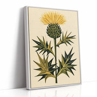 Golden Thistle in Bloom