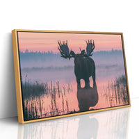 Bull Moose at First Light