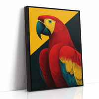 Scarlet Macaw Study