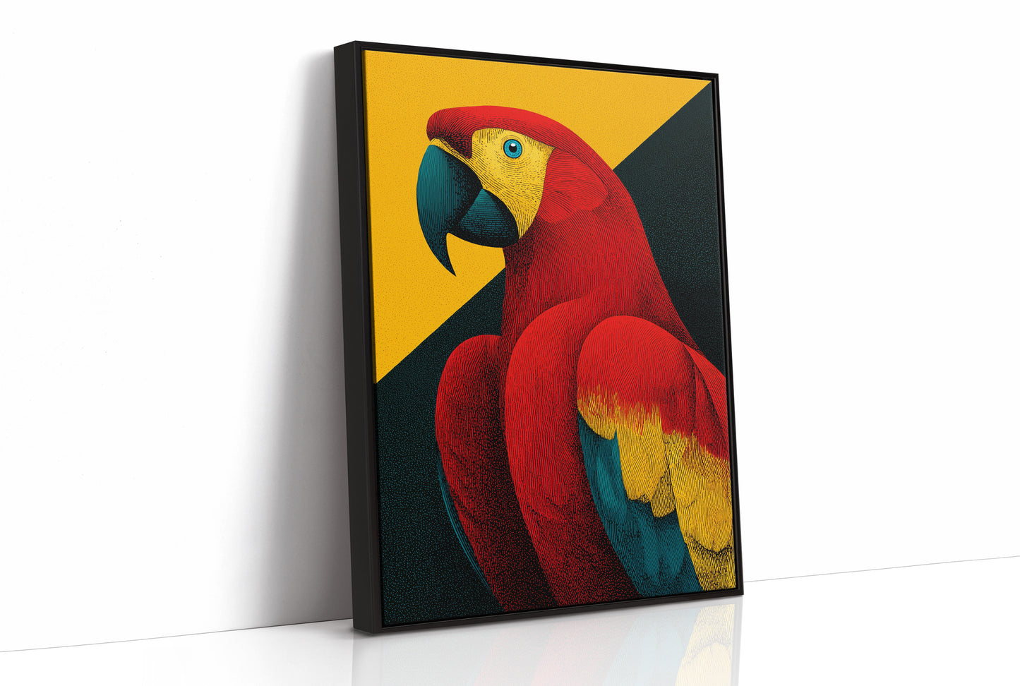 Scarlet Macaw Study