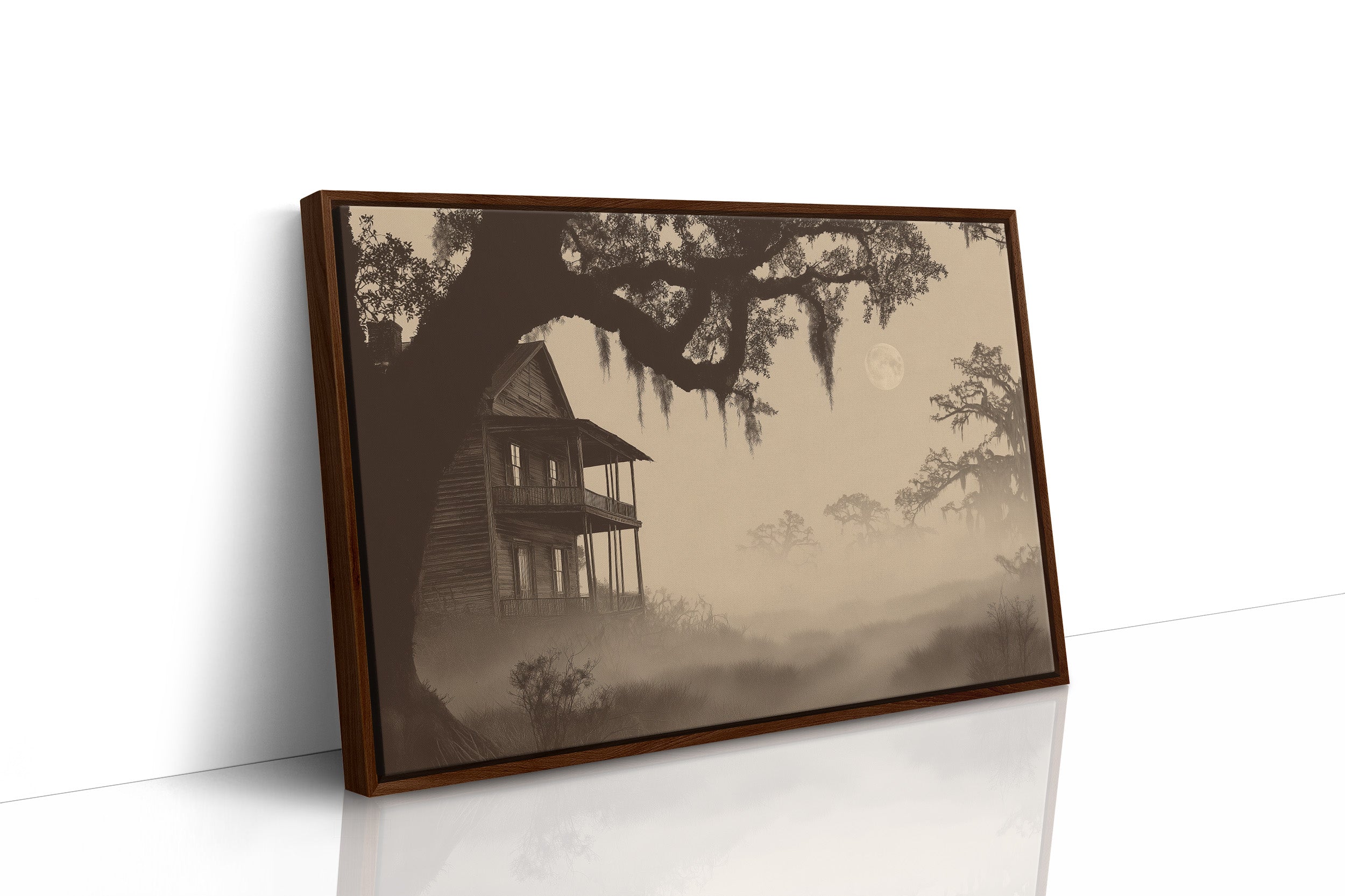 Southern Mist Haunts Old Homestead