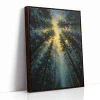 Sunbeams Pierce Ancient Forest Canopy
