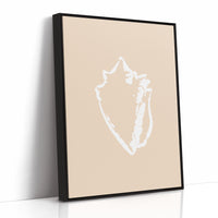 Seashell Sketches In Blush Light