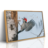 Woodpecker in Mid-Strike