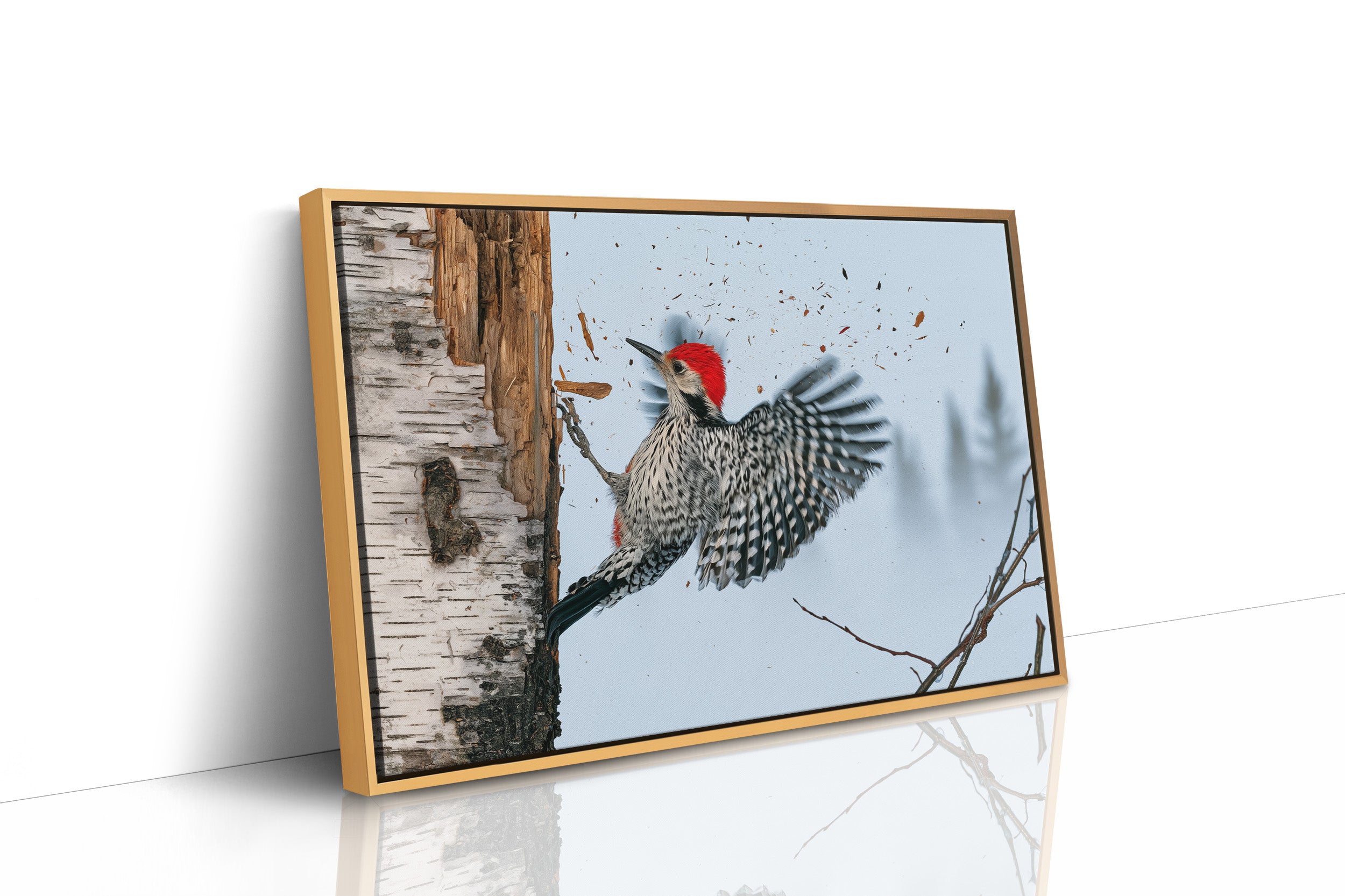 Woodpecker in Mid-Strike