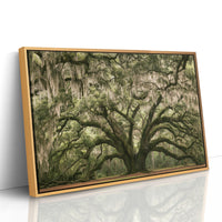 The Old Oak's Mossy Embrace