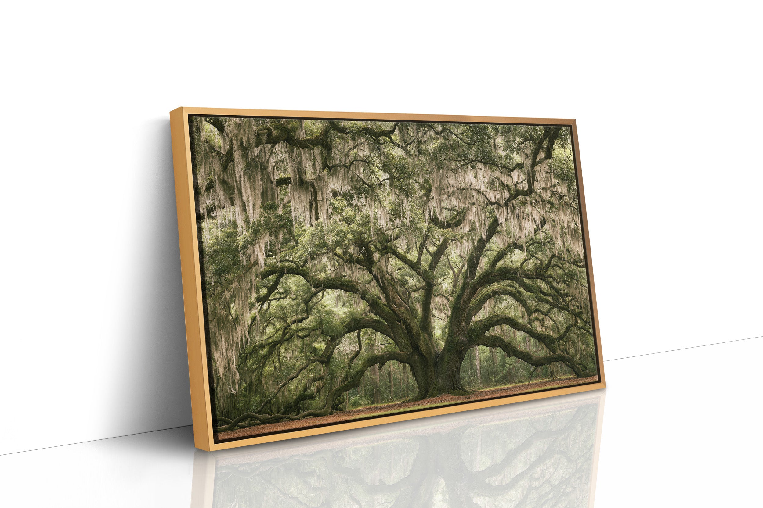 The Old Oak's Mossy Embrace