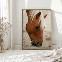 Graceful Graze and Golden Stillness
