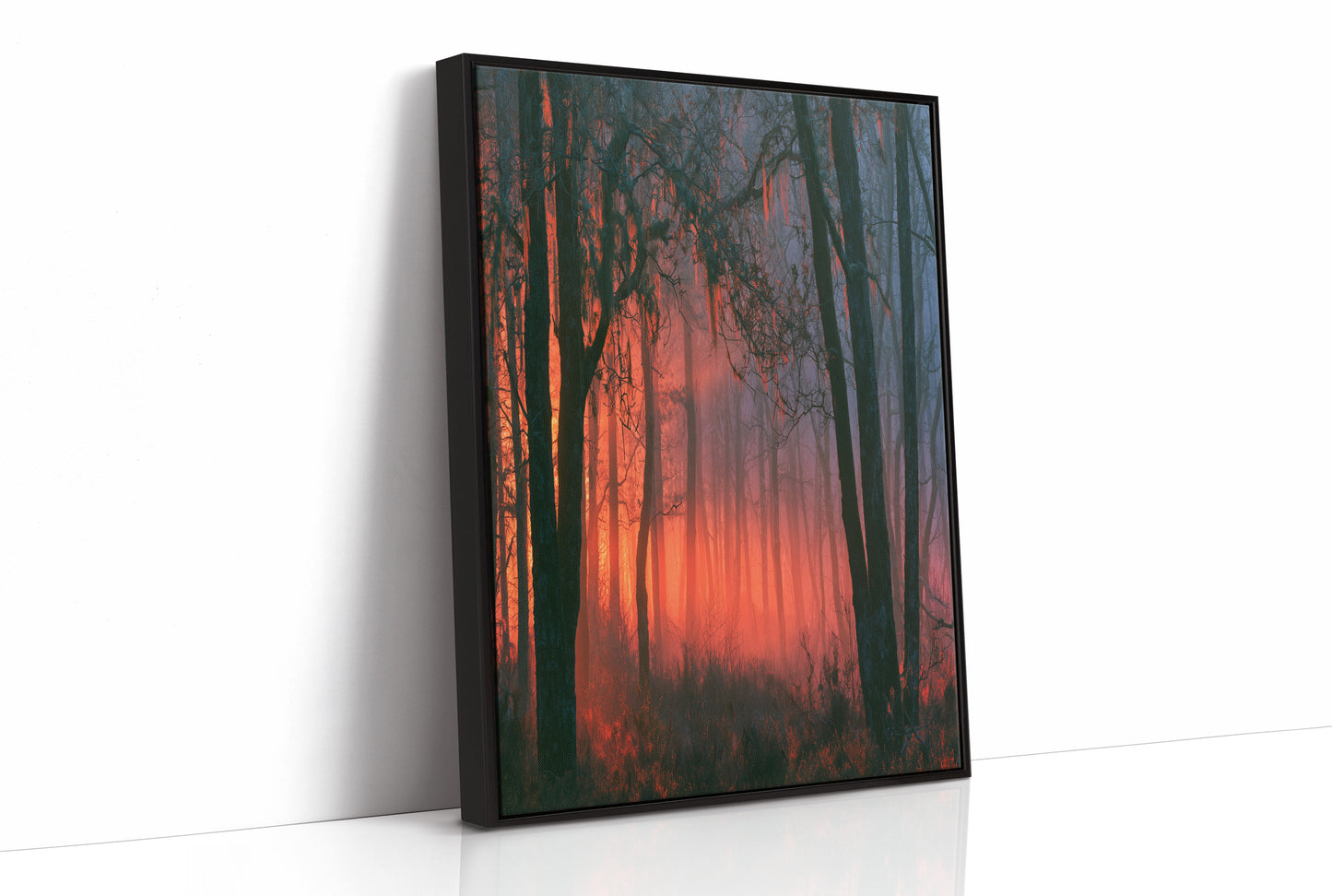 Forest Ablaze at Dusk