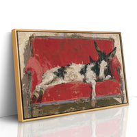 Donkey Takes the Couch