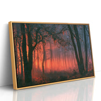 Forest Aglow In The Mist