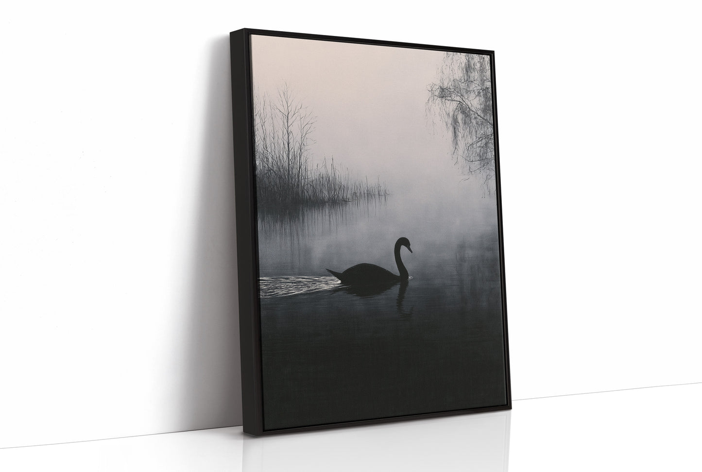 Black Swan on Silent Water