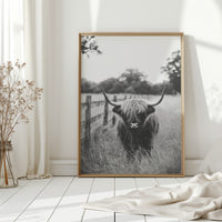 Highland Gaze in Black and White