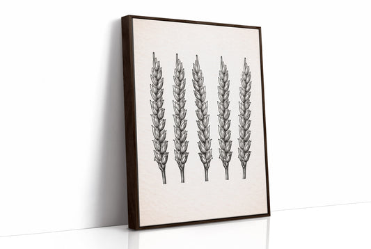 Wheat Stalks Stand in Silent Formation