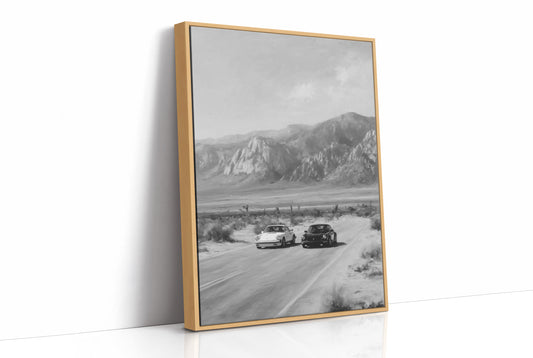 Desert Roads and Distant Peaks