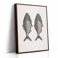 Mirrored Catch: Anatomical Fish Study