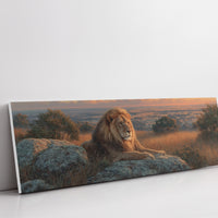 Savanna King at Sunset