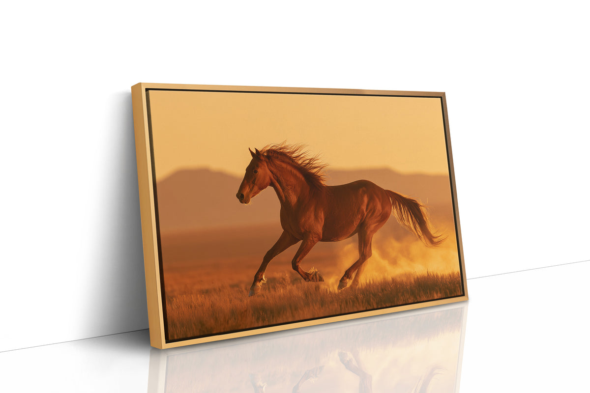 Chestnut Mustang at Golden Hour