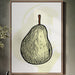 Simple Pear Sketches Autumn Memories