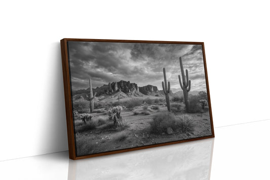 Saguaros Dance Under Storm Clouds