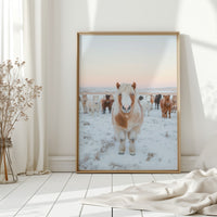 Fluffy Pony in Winter Herd