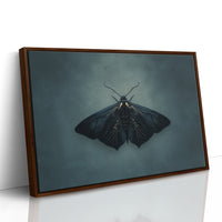 Velvet Wings Among Leather Spines